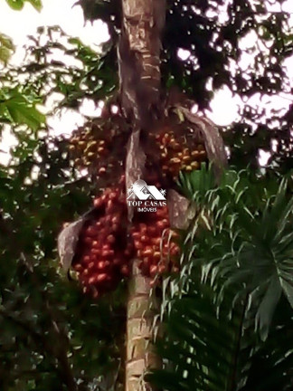 Imagem Fazenda à Venda, 96.000 m² em Serra Da Cruz - Macaé