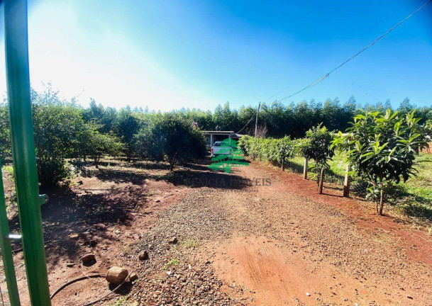 Imagem Chácara com 3 Quartos à Venda, 3.870 m² em Aparecidinha - Santa Terezinha De Itaipu Imagem Chácara com 3 Quartos à Venda, 3.870 m² em Aparecidinha - Santa Terezinha De Itaipu