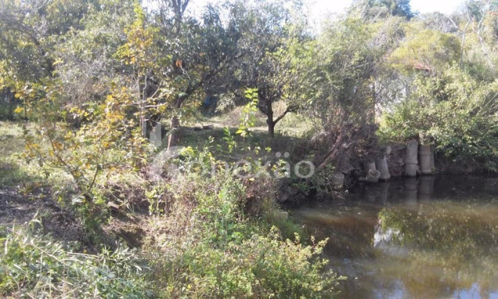 Imagem Chácara com 3 Quartos à Venda, 200 m² em Porto - Paraibuna Imagem Chácara com 3 Quartos à Venda, 200 m² em Porto - Paraibuna