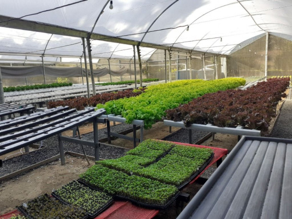 Fazenda à Venda, 160 m² em Itapety - Mogi Das Cruzes