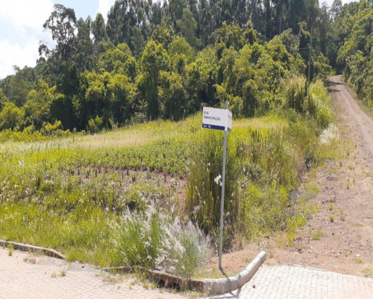 Imagem Imóvel à Venda, 970 m² em Centro - Linha Nova Imagem Imóvel à Venda, 970 m² em Centro - Linha Nova