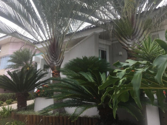 Imagem Sobrado com 2 Quartos à Venda, 400 m² em Parque Santa Isabel - Sorocaba Imagem Sobrado com 2 Quartos à Venda, 400 m² em Parque Santa Isabel - Sorocaba