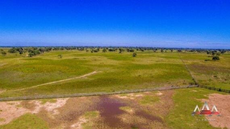 Imagem Fazenda à Venda, 92 m² em Zona Rural De Poconé - Poconé Imagem Fazenda à Venda, 92 m² em Zona Rural De Poconé - Poconé
