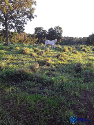 Imagem Fazenda à Venda, 57 m² em Zona Rural - Mozarlândia Imagem Fazenda à Venda, 57 m² em Zona Rural - Mozarlândia