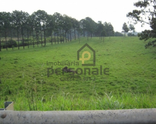Imagem Imóvel à Venda, 50.000 m² em Brigadeiro Tobias - Sorocaba Imagem Imóvel à Venda, 50.000 m² em Brigadeiro Tobias - Sorocaba