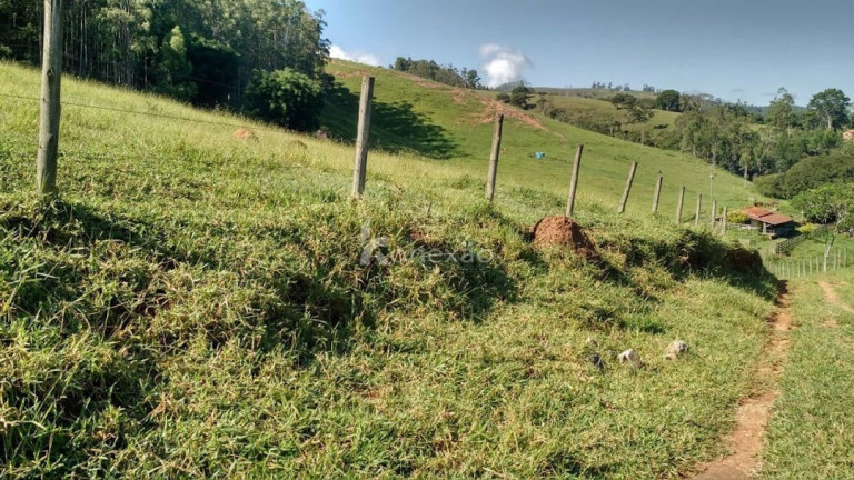 Imagem Fazenda à Venda, 500 m² em Pernambucana - Paraibuna Imagem Fazenda à Venda, 500 m² em Pernambucana - Paraibuna