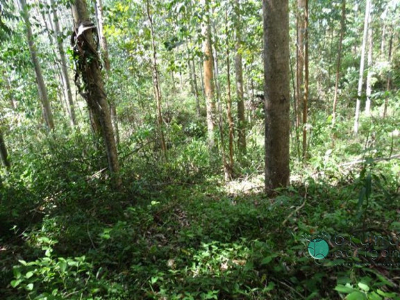 Imagem Imóvel à Venda, em Zona Rural - Alfredo Wagner Imagem Imóvel à Venda, em Zona Rural - Alfredo Wagner