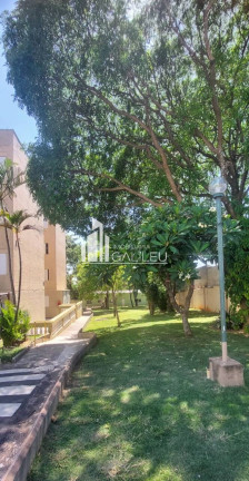 Imagem Apartamento com 2 Quartos à Venda, 50 m² em Vila Padre Manoel De Nóbrega - Campinas