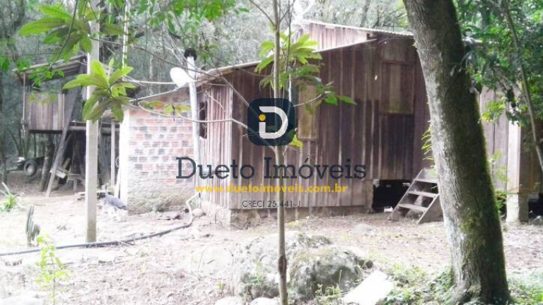 Imagem Chácara com 1 Quarto à Venda, 5.000 m² em Arroio Grande - Santa Maria