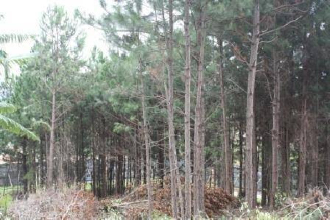 Imagem Terreno à Venda, 22 m² em Vargem Pequena - Florianópolis Imagem Terreno à Venda, 22 m² em Vargem Pequena - Florianópolis