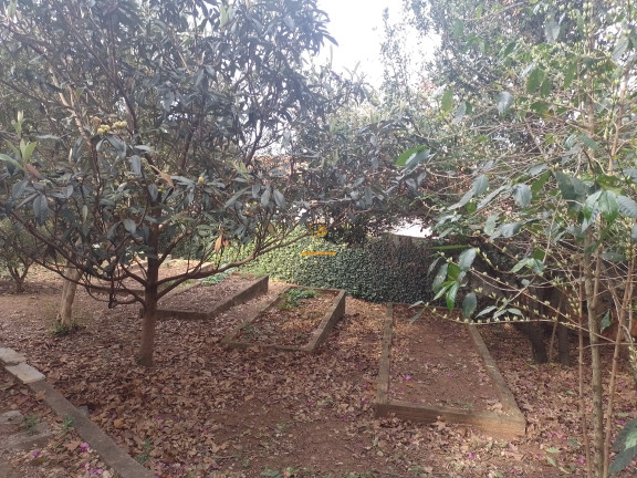 Terreno à Venda, 1.050 m² em Liberdade - Itu
