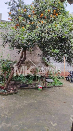 Imagem Casa à Venda, em Rio Pequeno - São José Dos Pinhais Imagem Casa à Venda, em Rio Pequeno - São José Dos Pinhais