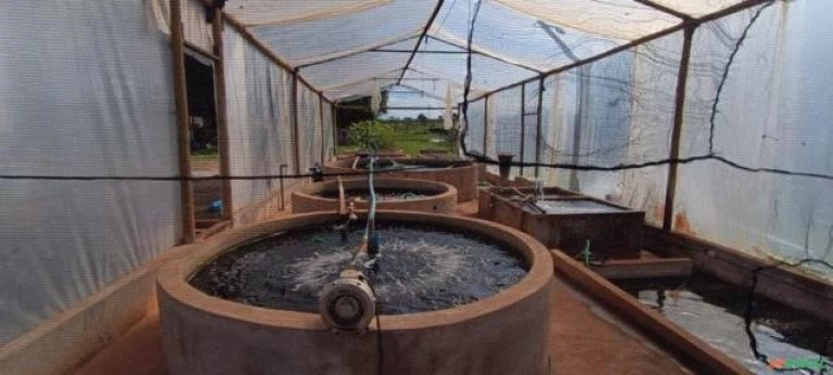 Imagem Imóvel à Venda, 70 m² em Urânia - Urânia Imagem Imóvel à Venda, 70 m² em Urânia - Urânia