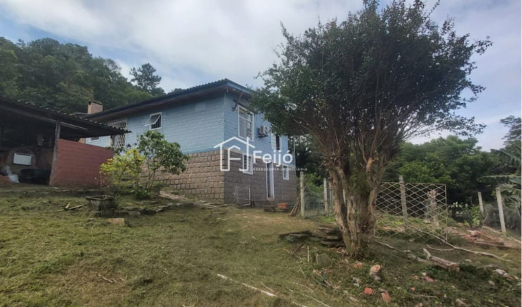 Imagem Fazenda à Venda, 6.000 m² em Lageado - Porto Alegre