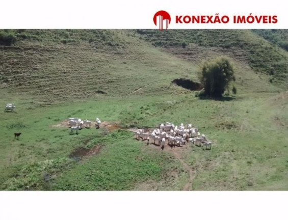 Imagem Fazenda à Venda, 100 m² em Pouso Alto - Natividade Da Serra Imagem Fazenda à Venda, 100 m² em Pouso Alto - Natividade Da Serra