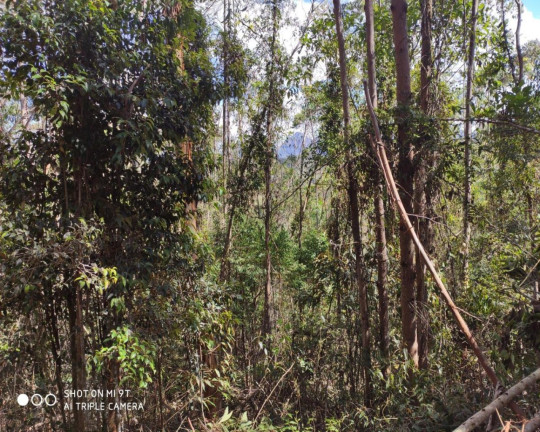 Imagem Imóvel à Venda, 2.500.000 m² em Fazenda Bela Vista - Nova Friburgo