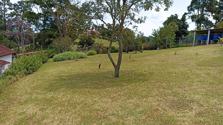 Imagem Chácara com 3 Quartos à Venda, 500 m² em Centro - Paraibuna