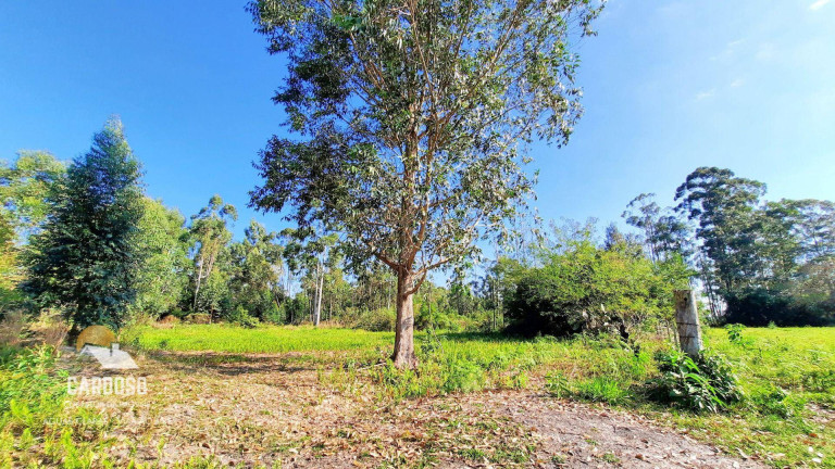 Imagem Fazenda à Venda, 100.000 m² em águas Claras - Viamão Imagem Fazenda à Venda, 100.000 m² em águas Claras - Viamão