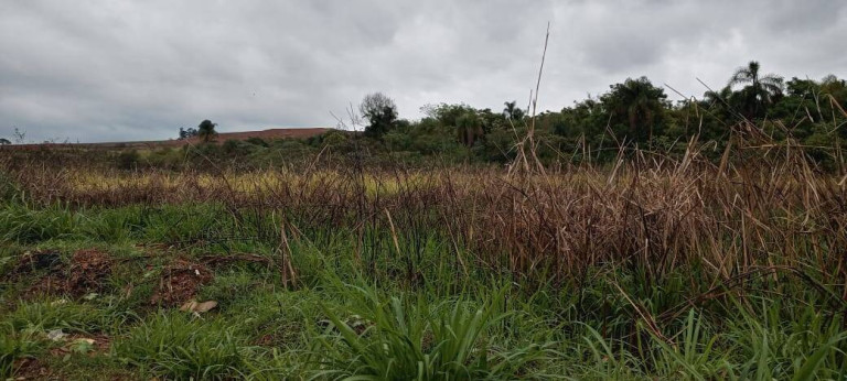Imagem Fazenda à Venda, 3 m² em Bacaetava - Iperó Imagem Fazenda à Venda, 3 m² em Bacaetava - Iperó