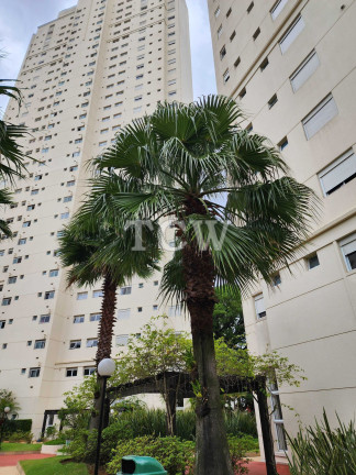 Imagem Apartamento com 3 Quartos à Venda, 133 m² em Aclimação - São Paulo