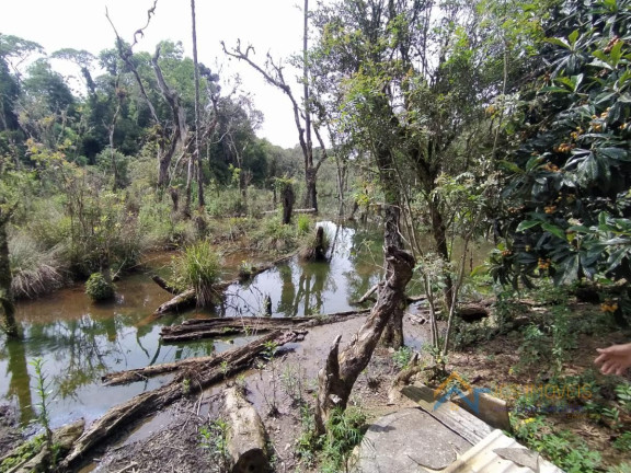 Imagem Chácara com 3 Quartos à Venda, 194 m² em Campestre Da Faxina - São José Dos Pinhais Imagem Chácara com 3 Quartos à Venda, 194 m² em Campestre Da Faxina - São José Dos Pinhais