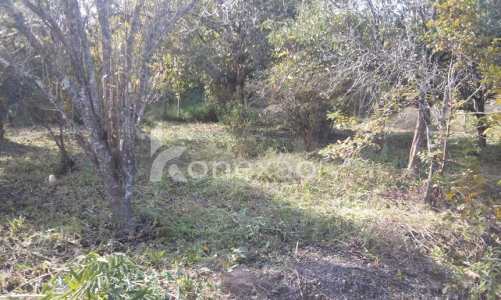 Imagem Chácara com 3 Quartos à Venda, 200 m² em Porto - Paraibuna Imagem Chácara com 3 Quartos à Venda, 200 m² em Porto - Paraibuna