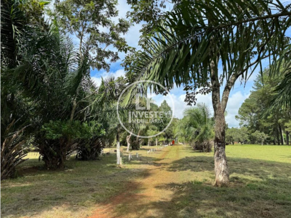 Imagem Chácara com 2 Quartos à Venda, 21.348 m² em Jardim Botânico - Goiânia