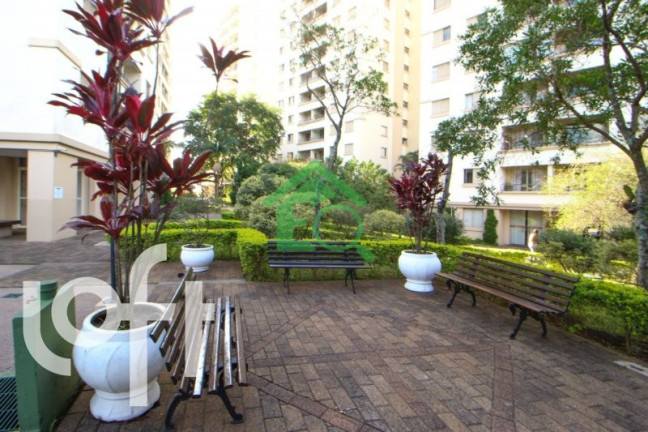 Imagem Apartamento com 3 Quartos à Venda, 65 m² em Vila Isa - São Paulo