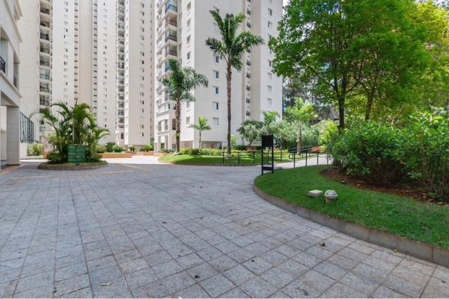 Imagem Apartamento com 3 Quartos à Venda, 81 m² em Vila Amélia - São Paulo Imagem Apartamento com 3 Quartos à Venda, 81 m² em Vila Amélia - São Paulo