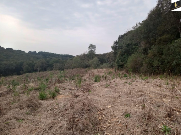 Imagem Imóvel à Venda, 96.800 m² em Colonia Marcelino - São José Dos Pinhais Imagem Imóvel à Venda, 96.800 m² em Colonia Marcelino - São José Dos Pinhais