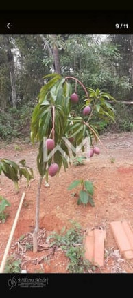 Imagem Terreno à Venda, 2.051 m² em Vila Dos Remedios - Mairiporã Imagem Terreno à Venda, 2.051 m² em Vila Dos Remedios - Mairiporã
