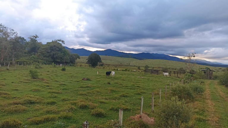 Imagem Fazenda à Venda, 100 m² em Estiva - Taubaté Imagem Fazenda à Venda, 100 m² em Estiva - Taubaté