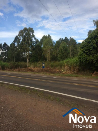 Imagem Imóvel à Venda, 10.211 m² em Linha Araripe - Nova Petrópolis Imagem Imóvel à Venda, 10.211 m² em Linha Araripe - Nova Petrópolis