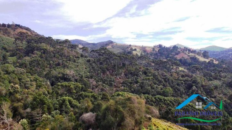 Imagem Chácara à Venda, 89 m² em Centro - Gonçalves