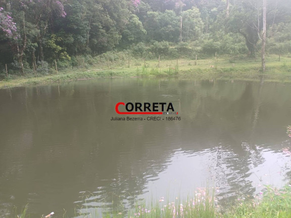 Imagem Chácara com 3 Quartos à Venda, 8 m² em Vargem Do Salto - Ibiúna Imagem Chácara com 3 Quartos à Venda, 8 m² em Vargem Do Salto - Ibiúna
