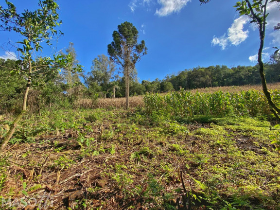 Imagem Chácara com 4 Quartos à Venda, 120.000 m² em Centro - Santa Maria Do Herval Imagem Chácara com 4 Quartos à Venda, 120.000 m² em Centro - Santa Maria Do Herval