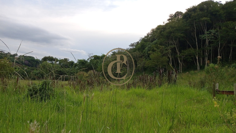 Imagem Chácara com 3 Quartos à Venda, 80.000 m² em Buquirinha - São José Dos Campos Imagem Chácara com 3 Quartos à Venda, 80.000 m² em Buquirinha - São José Dos Campos