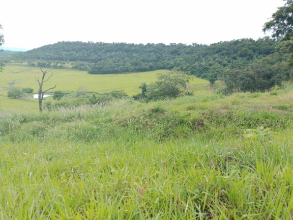 Imagem Chácara à Venda, em Cuiabá Imagem Chácara à Venda, em Cuiabá