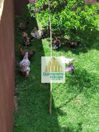 Imagem Chácara com 3 Quartos à Venda, 1.060 m² em Copaco - Arujá Imagem Chácara com 3 Quartos à Venda, 1.060 m² em Copaco - Arujá