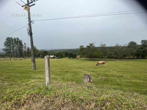 Imagem Chácara com 2 Quartos à Venda, 32.000 m² em Fazenda Fialho - Taquara Imagem Chácara com 2 Quartos à Venda, 32.000 m² em Fazenda Fialho - Taquara