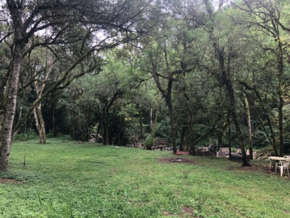 Imagem Imóvel com 2 Quartos à Venda, 80 m² em Linha Pirajá Baixa - Nova Petrópolis