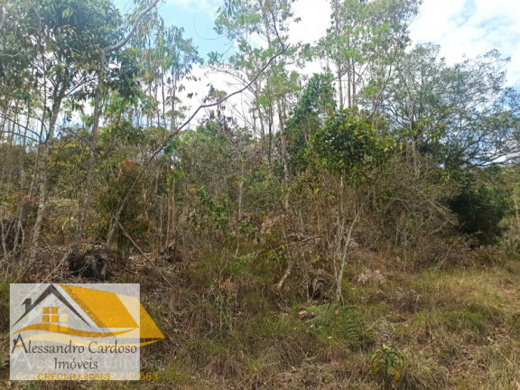 Imagem Terreno à Venda, 20.000 m² em Rio Grande De Cima - Nova Friburgo Imagem Terreno à Venda, 20.000 m² em Rio Grande De Cima - Nova Friburgo