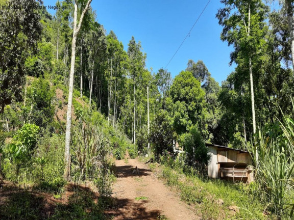 Imagem Imóvel com 2 Quartos à Venda, 70 m² em Linha Pirajá Baixa - Nova Petrópolis Imagem Imóvel com 2 Quartos à Venda, 70 m² em Linha Pirajá Baixa - Nova Petrópolis