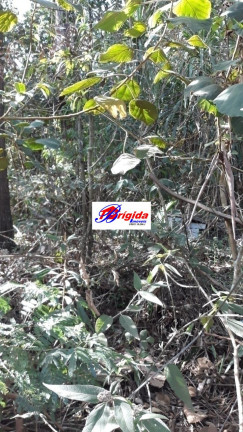Imagem Terreno em Condomínio à Venda, 2 m² em Jardim São Vicente - Cotia