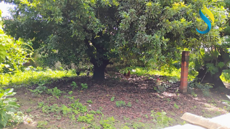 Imagem Imóvel à Venda, 500 m² em Mucunã - Maracanau