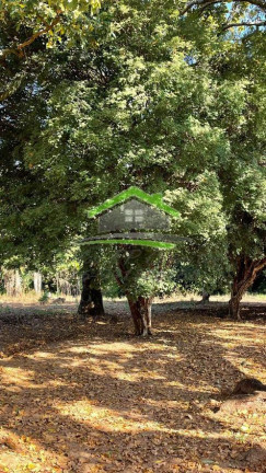 Imagem Fazenda à Venda, 484.000 m² em Centro - Cajuru Imagem Fazenda à Venda, 484.000 m² em Centro - Cajuru