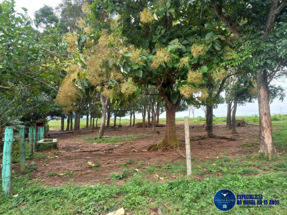 Imagem Chácara à Venda, 8 m² em Zona Rural - Itaberaí Imagem Chácara à Venda, 8 m² em Zona Rural - Itaberaí