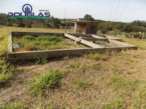 Imagem Chácara à Venda, 5.000 m² em Viamão