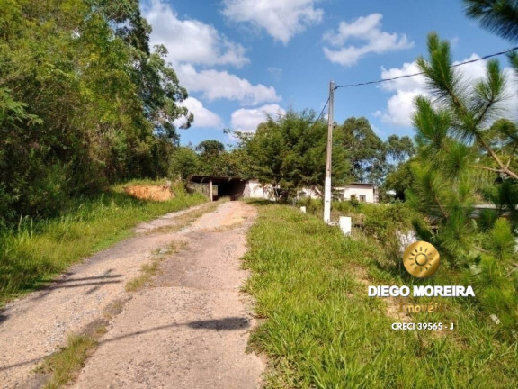 Imagem Chácara com 3 Quartos à Venda, 3 m² em Terra Preta - Mairiporã Imagem Chácara com 3 Quartos à Venda, 3 m² em Terra Preta - Mairiporã
