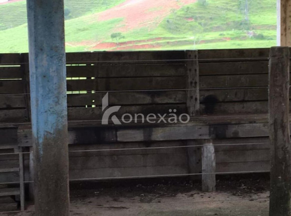 Imagem Fazenda à Venda, 400 m² em Jardim Prado - Santa Branca Imagem Fazenda à Venda, 400 m² em Jardim Prado - Santa Branca